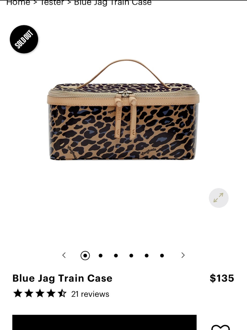 Consuela Leopard Print Train Case in Tan, Black & Blue